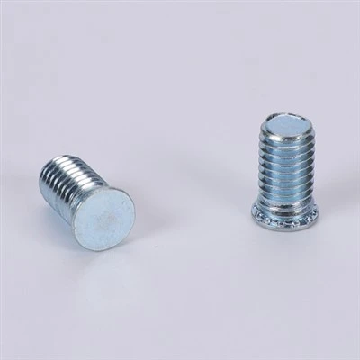 Self-clinching Screw